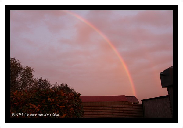 Zonsondergang-12-11-2014-001