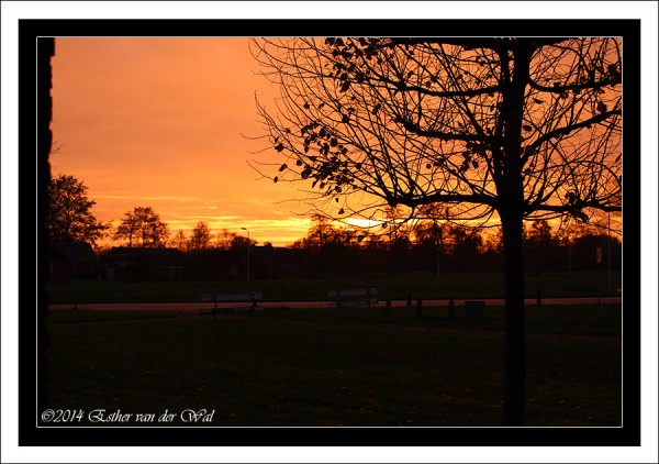 Zonsondergang-12-11-2014-004