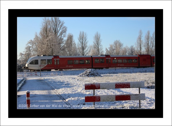 Sneeuw-2015-005