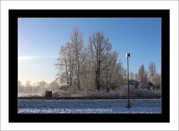 Sneeuw-2015-012