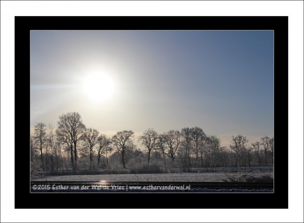 Sneeuw-2015-014