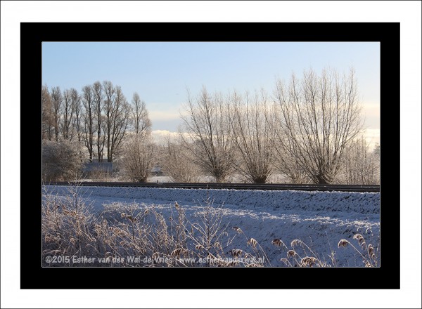 Sneeuw-2015-017