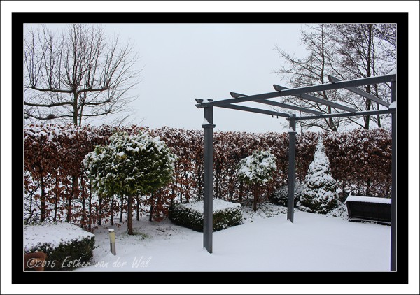 Sneeuw-23-01-2015-05