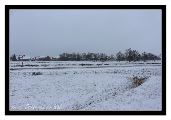 Sneeuw-23-01-2015-06