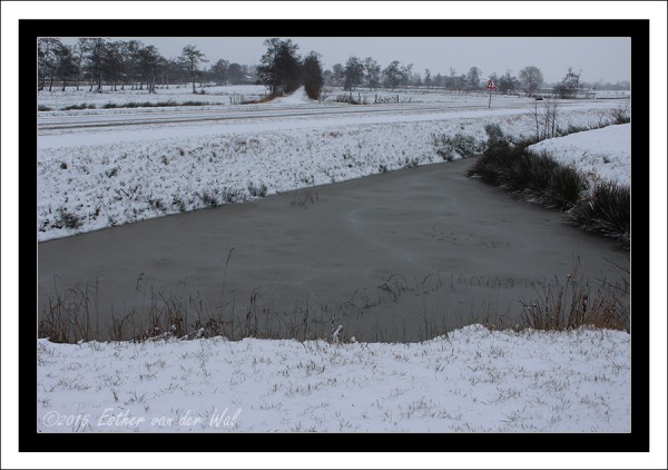 Sneeuw-23-01-2015-07