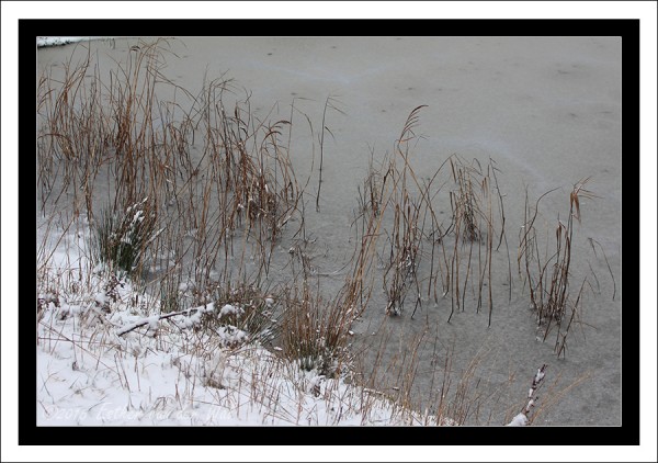 Sneeuw-23-01-2015-08