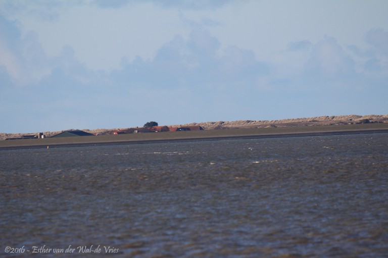 Ameland-001