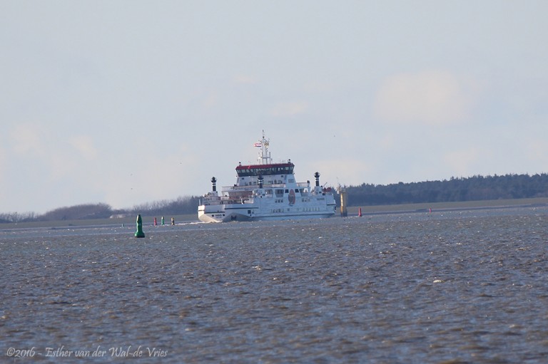 Ameland-002