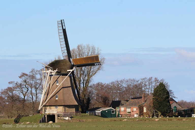 Molen