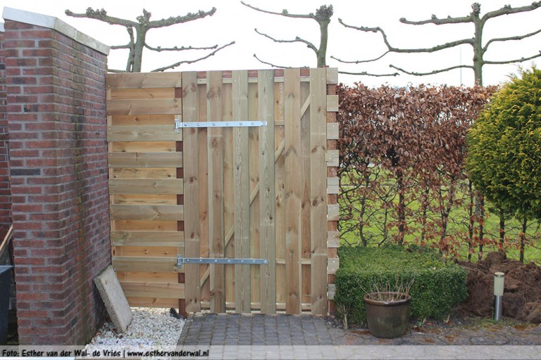 Tuin-02042016-04