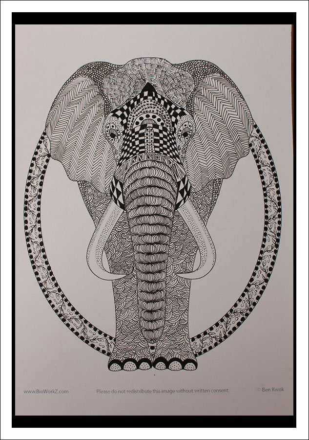 Zentangle – Olifant