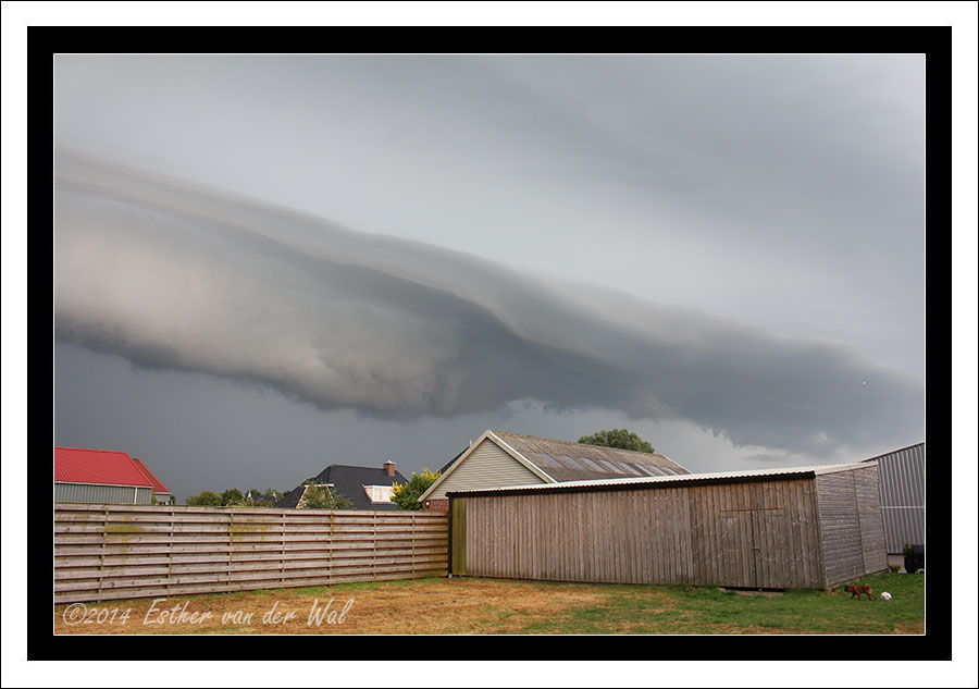 Onweer en de eerste Westereender Waterjuffer