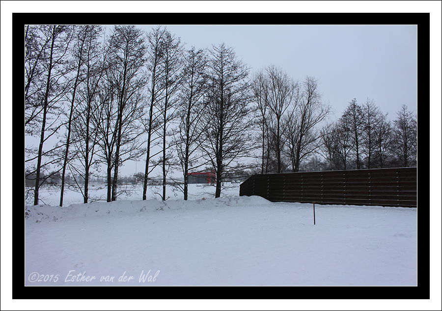 Eerste sneeuw 2015