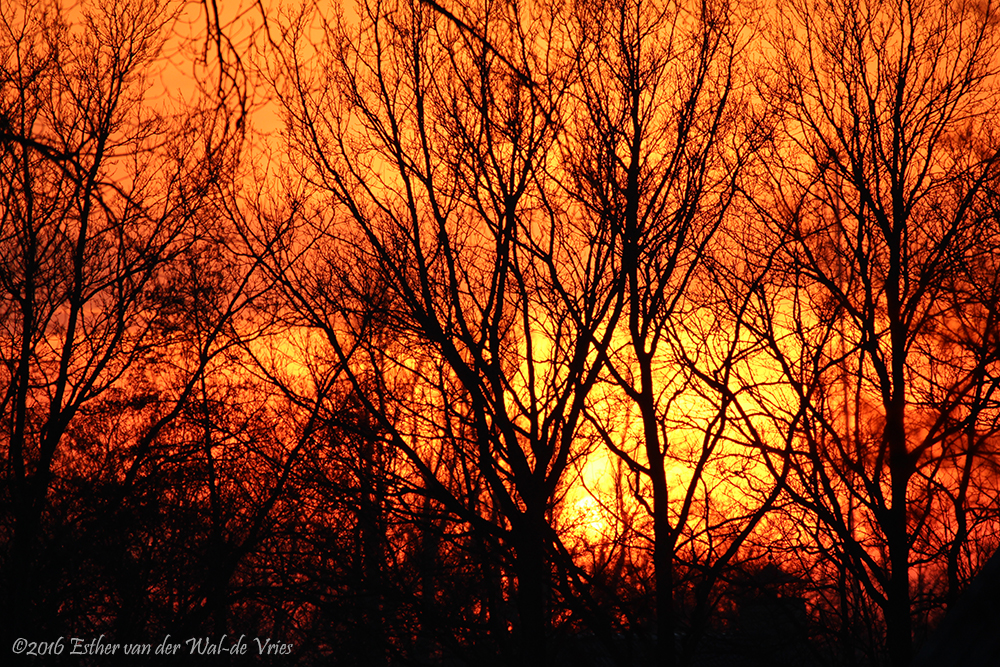 Schrikkel Zonsondergang