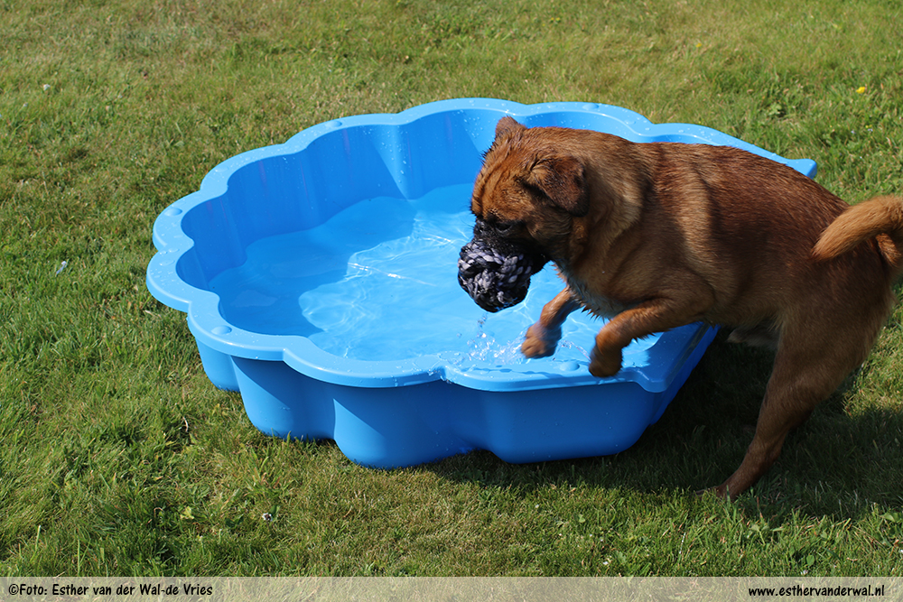 Waterpret!