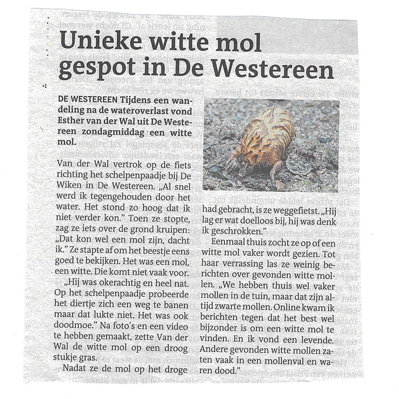 In de krant!