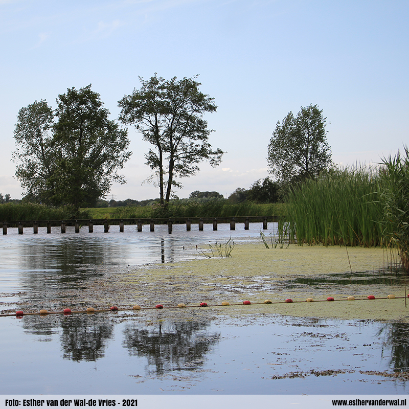 Fiets- en Wandeltochtje (2)