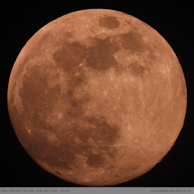 Volle Maan 24 februari 2024