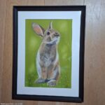 Pasteltekening Konijntje(s)