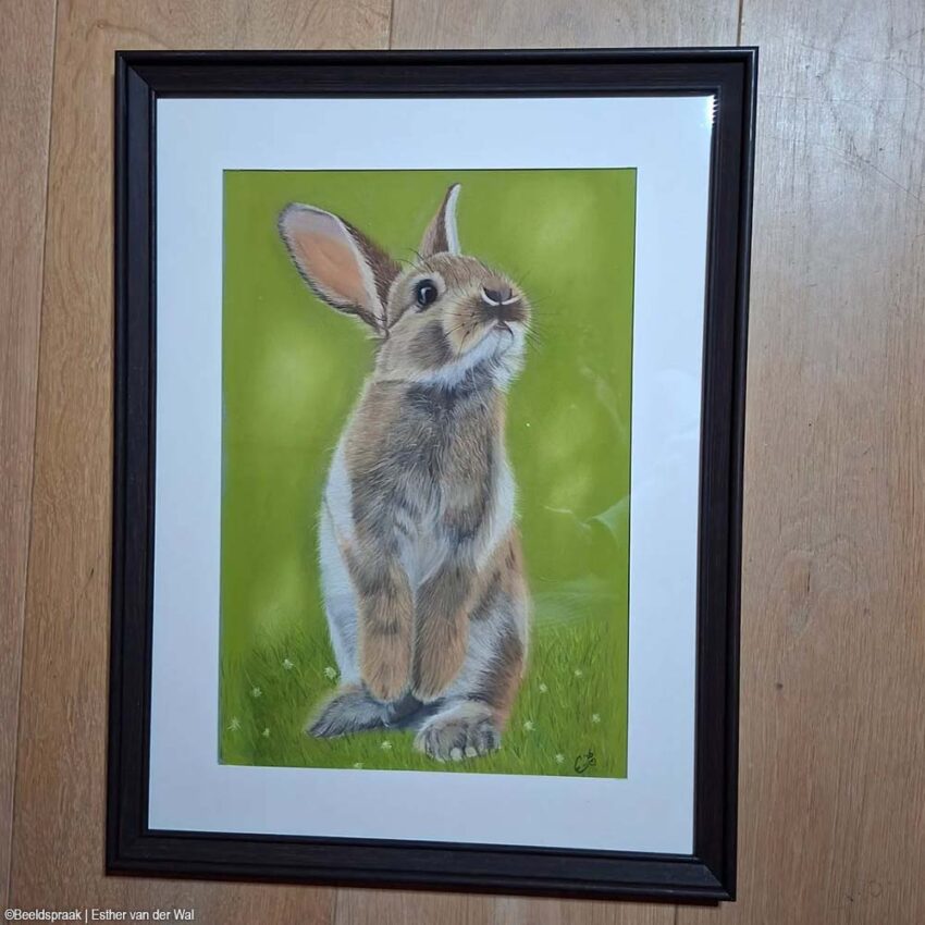 pasteltekening konijntje in het gras