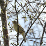 Even eruit… maar niet helemaal zoals gehoopt