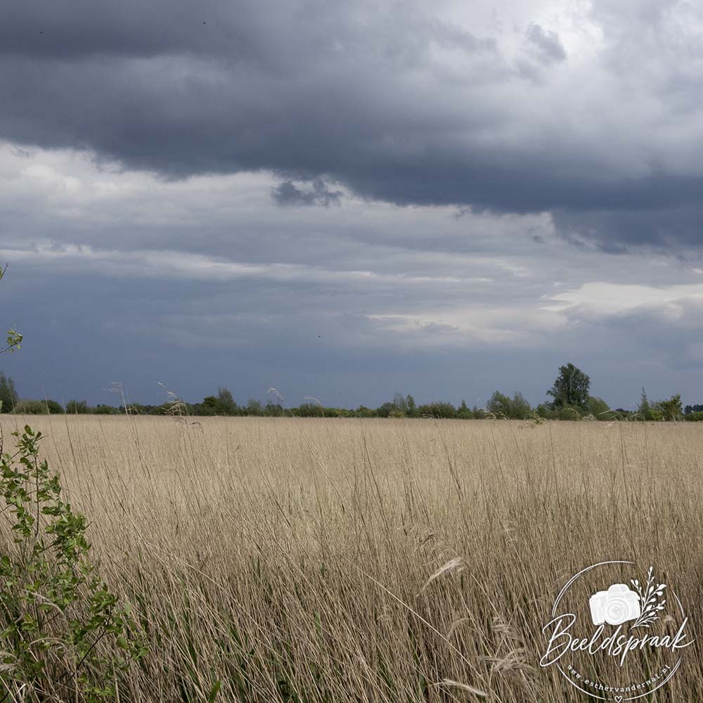 Dreigende lucht