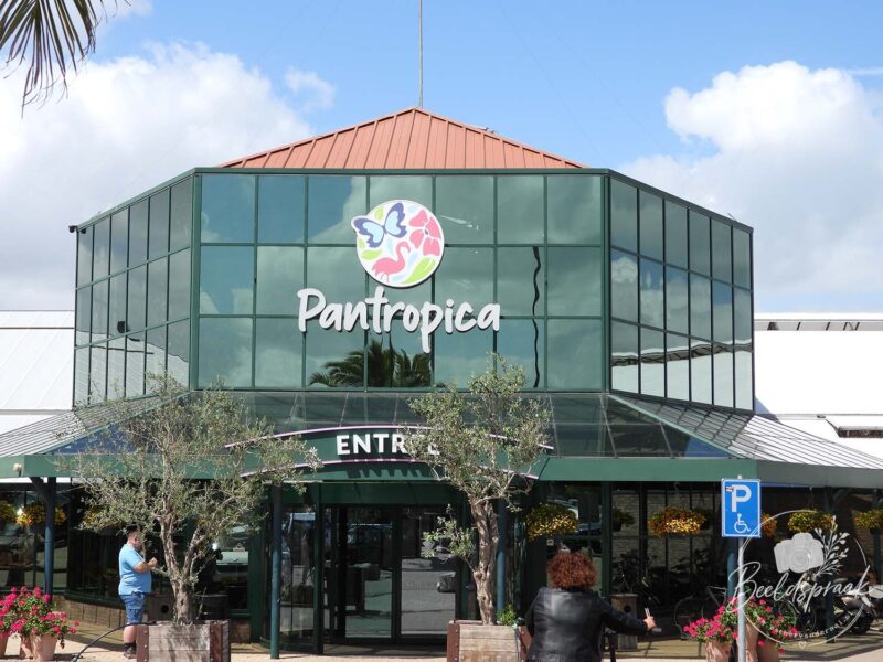 Pantropica Ingang