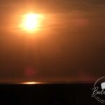 Gouden momenten in Holwerd