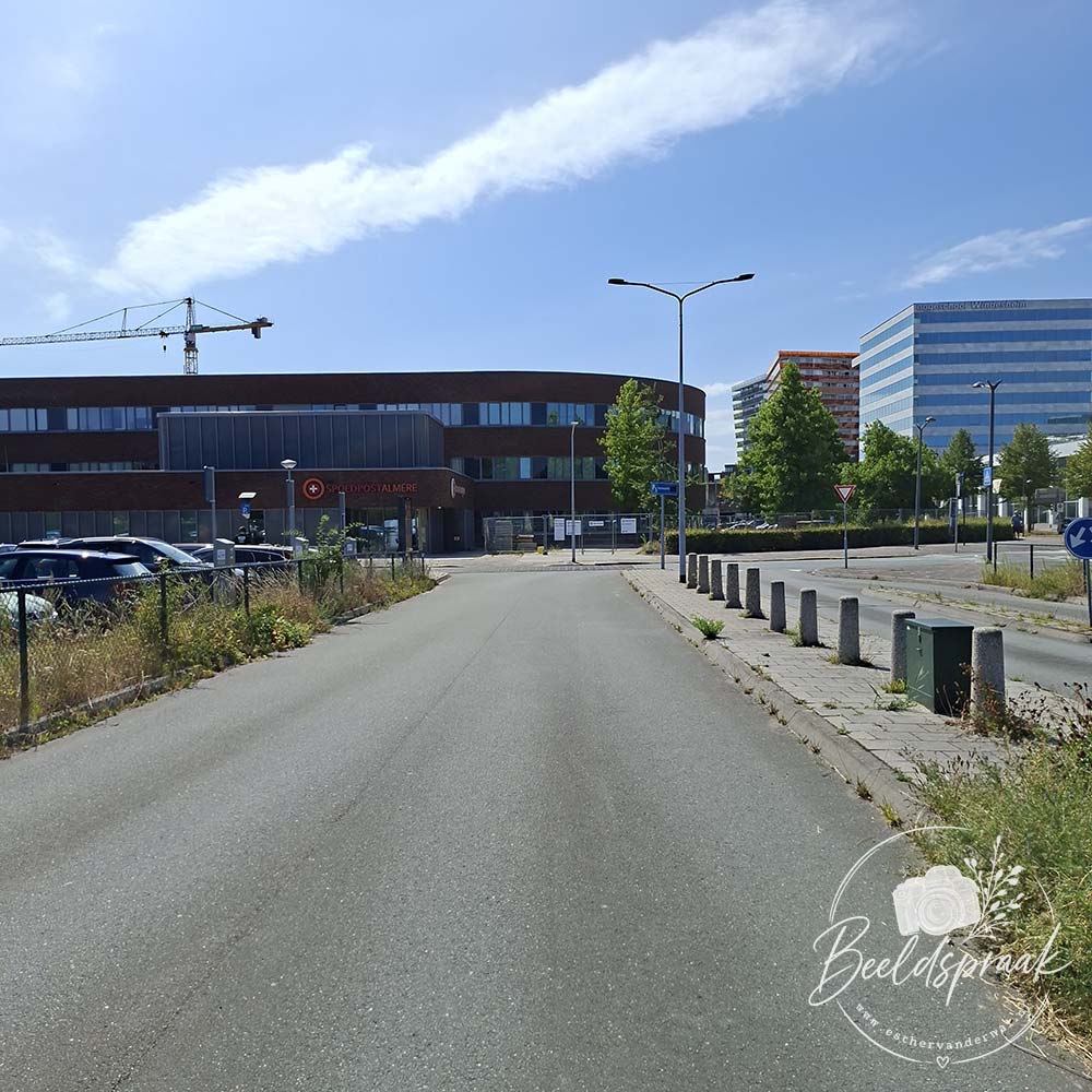 Flevoziekenhuis