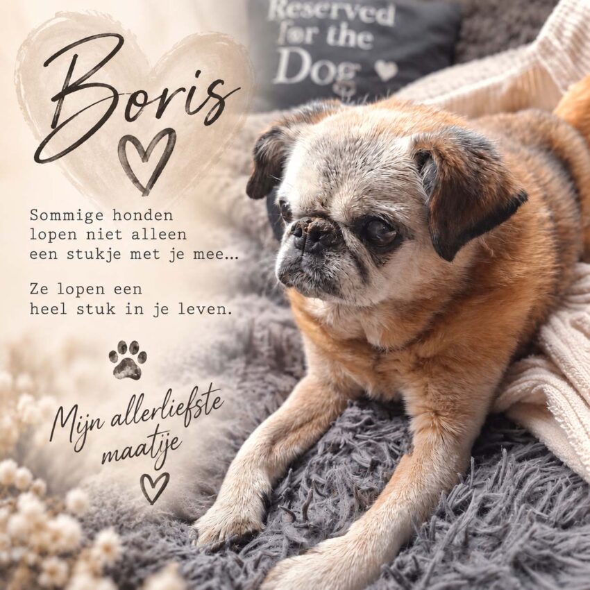 Boris