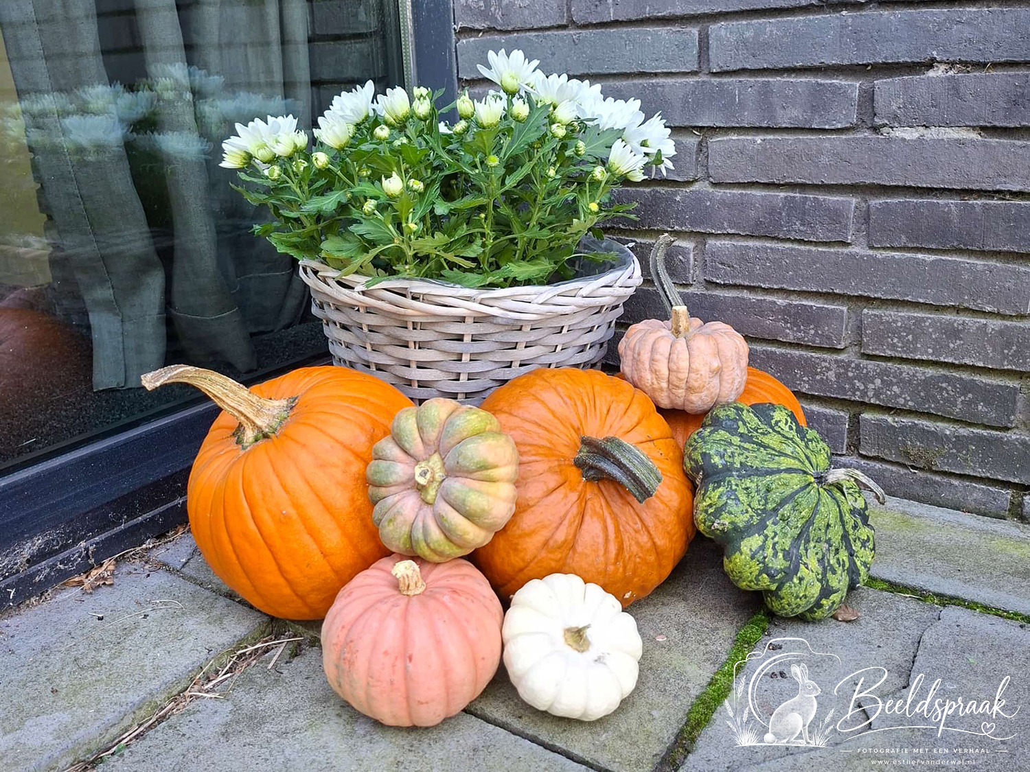 Pompoenen