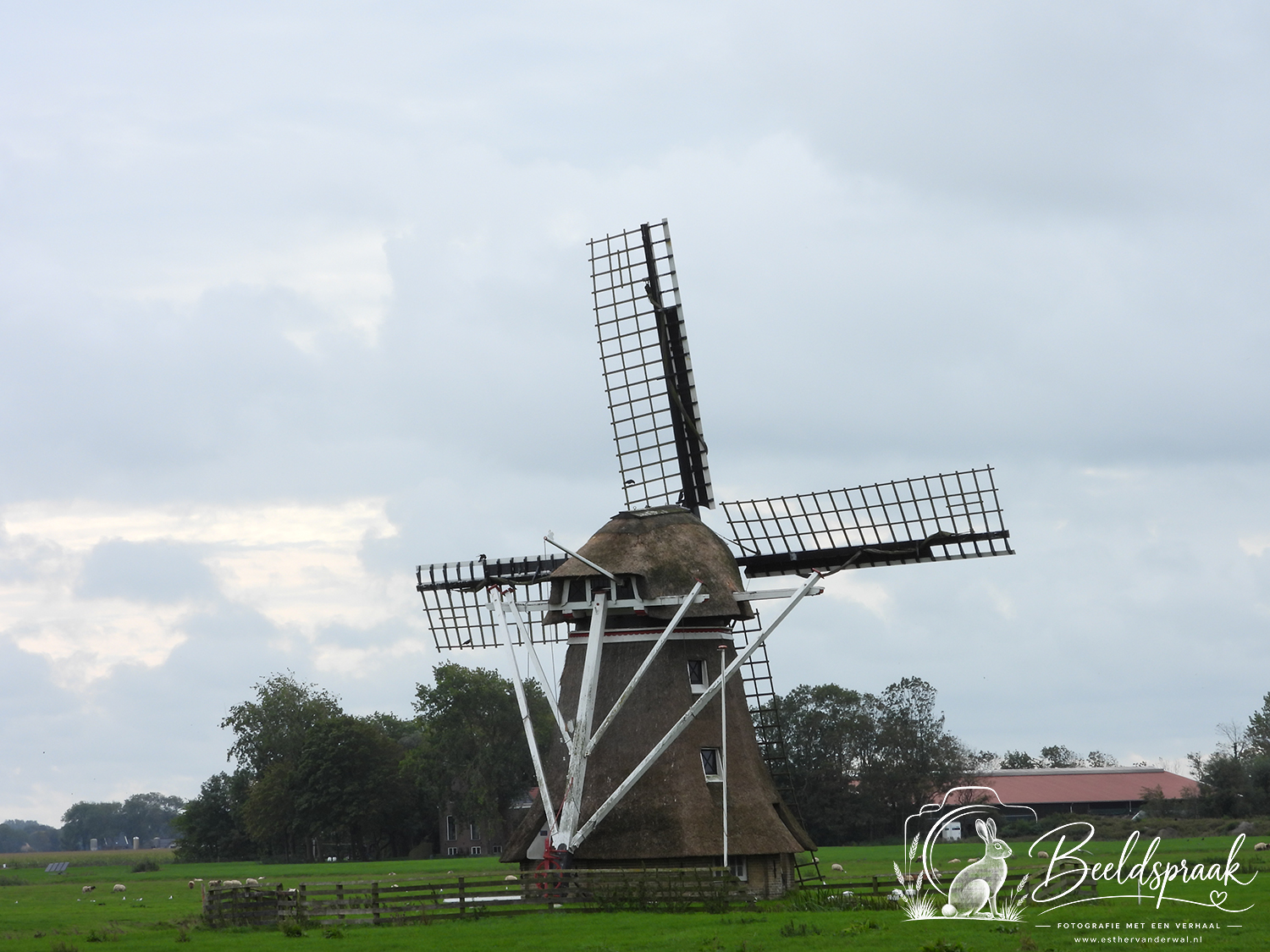Molen bij Stiens